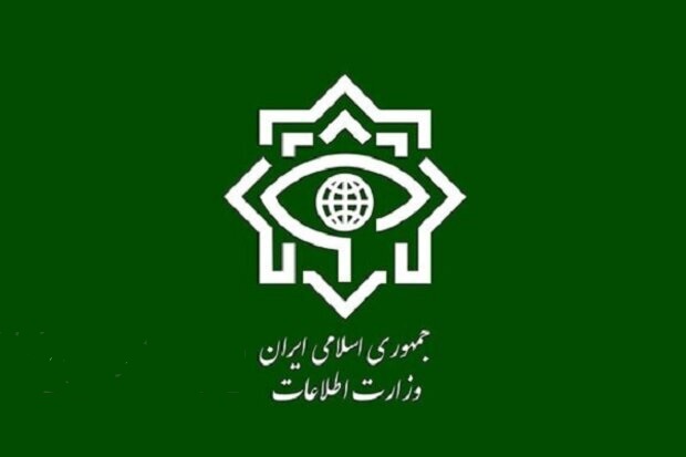 دستگیری مخلان نظم و امنیت در حمل‌ونقل جاده‌ای توسط سربازان گمنام امام
